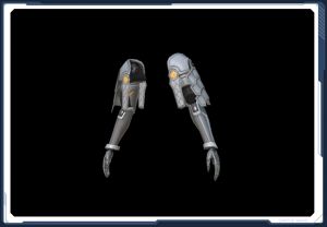 ヒメコンガラ・アーム sc2.jpg