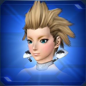 ディーラーインカムB sc2.jpg