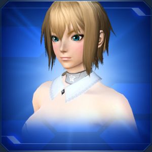 チャームつけ襟 白 sc2.jpg