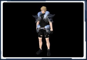 ☆ゲッテムハルトの鎧箱1 sc2.jpg