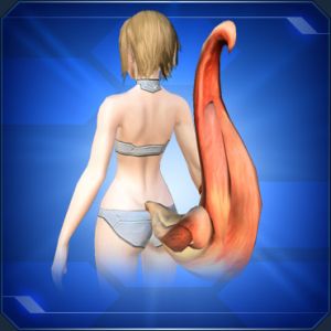 ニャウのしっぽ sc2.jpg