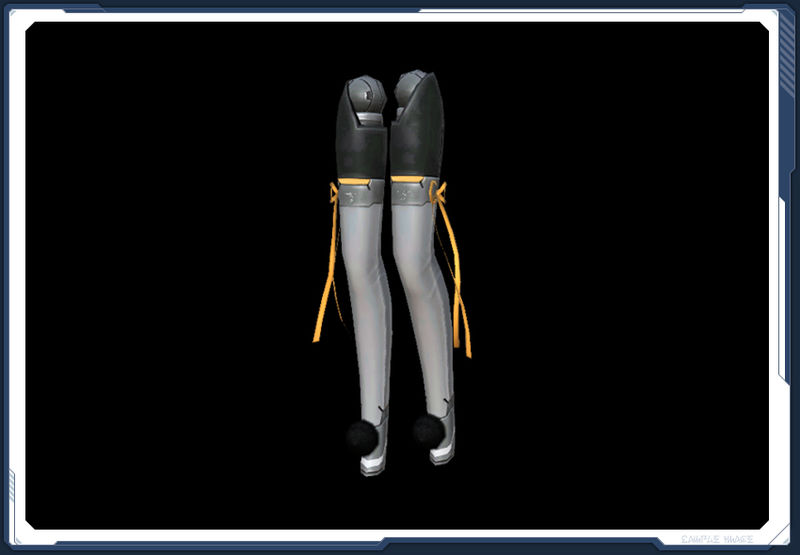 ファイル:アムアイラ・レッグCV sc2.jpg