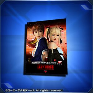 DOA5LR・ポスター sc2.jpg