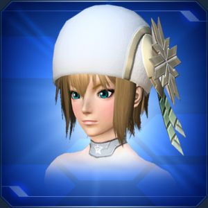 ロゼットキャップ sc2.jpg