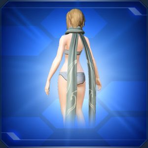 スチューデントSマフラーC sc2.jpg