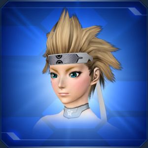 格闘家ハチマキ sc2.jpg