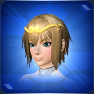 金の輪冠 sc2.jpg