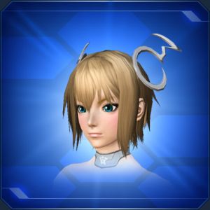 シャルテリアヘアアクセB sc2.jpg
