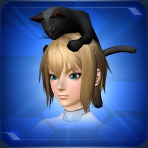 頭乗りクロネコ sc2.jpg