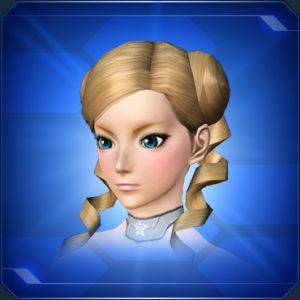 ツインシニヨンロール sc2.jpg