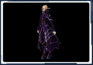 ドラグナーコートF雅 sc2.jpg