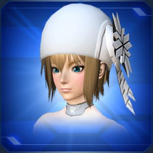 ロゼットキャップ雪 sc2.jpg