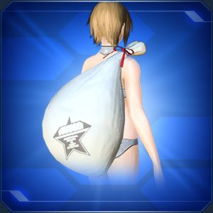 プレゼント袋 sc2.jpg