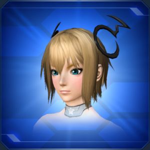 シャルテリアヘアアクセ sc2.jpg