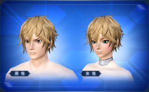 アルショートヘア sc2.jpg