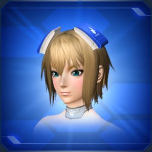 キジカヘッドギア sc2.jpg