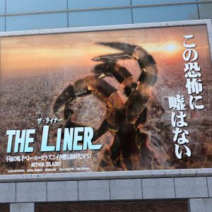 THE-LINER 宣伝ポスター.jpg