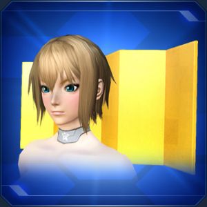 背負い金屏風 sc2.jpg