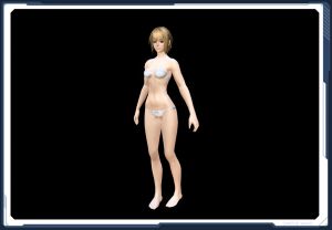 バイカラー１雪 In sc2.jpg