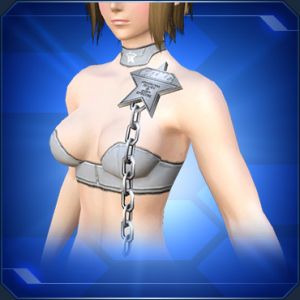 チェーンバッヂ 銀 sc2.jpg