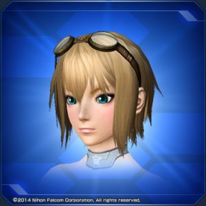 フィーゴーグル sc2.jpg