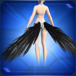 アンダーウィング 黒 sc2.jpg