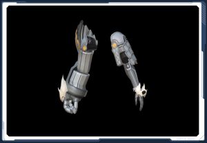 ヒメセイタカ・アーム sc2.jpg