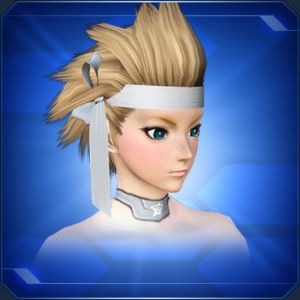 蝶結びハチマキ sc2.jpg