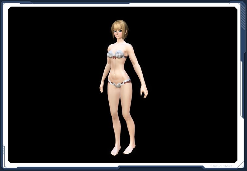 ファイル:ラッケージベスト雪 In sc2.jpg