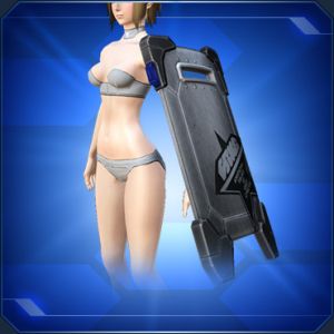 バリスティックガード 銀 sc2.jpg