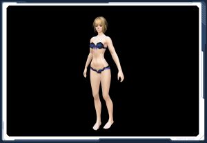 ラッケージベスト夜 In sc2.jpg