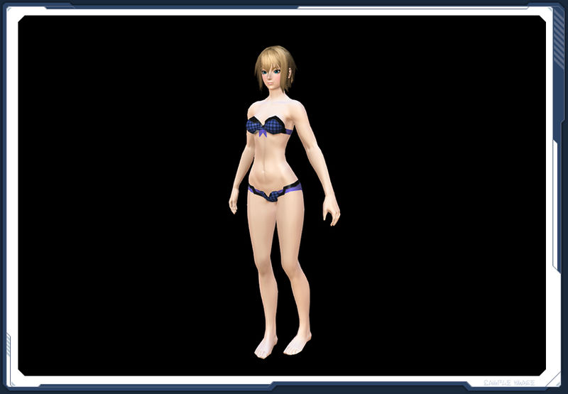 ファイル:ラッケージベスト夜 In sc2.jpg